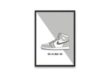 Air Jordan x Dior